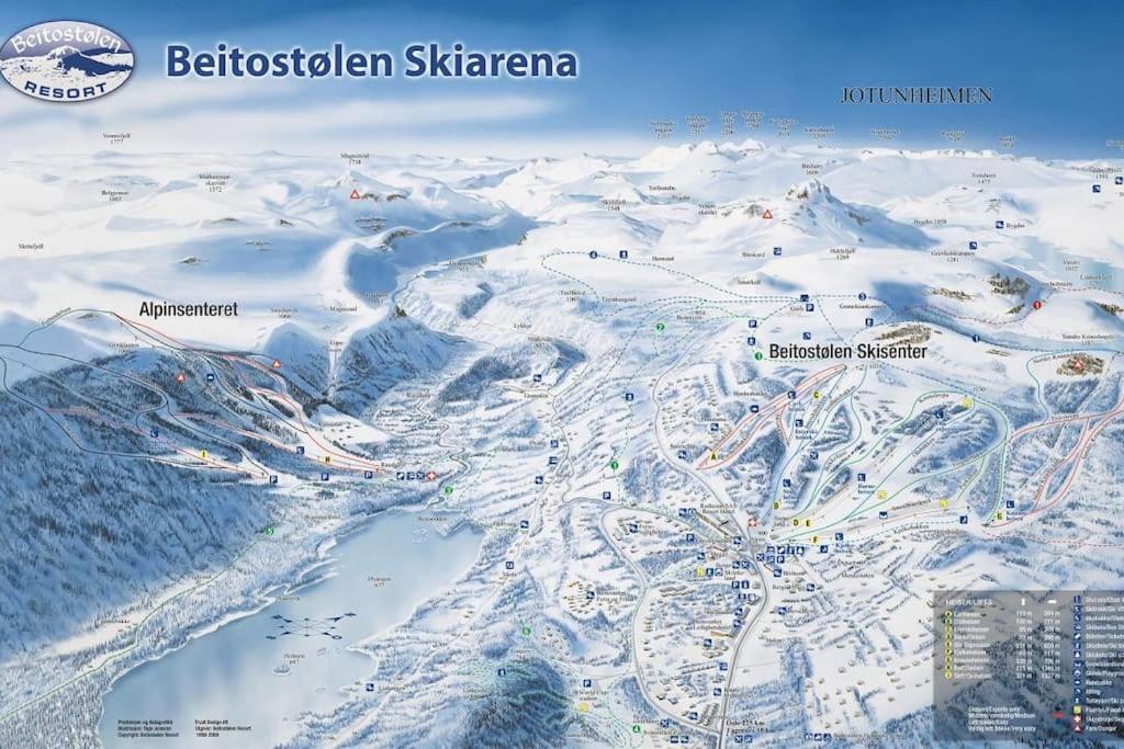 Peaceful Oasis. Panoramic Forest- & Mountain View. Sauna. Beitostolen Exterior photo